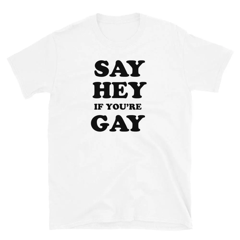 Say Hey If You're Gay Graphic Funny T-shirt