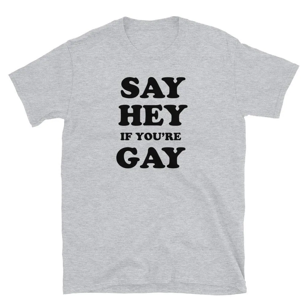 Say Hey If You're Gay Graphic Funny T-shirt